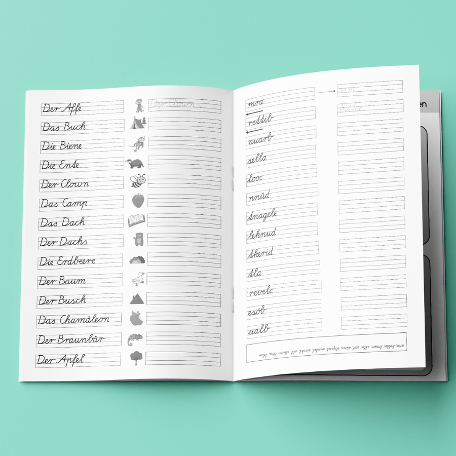 Schreibschrift lernen und üben: Schulausgangsschrift